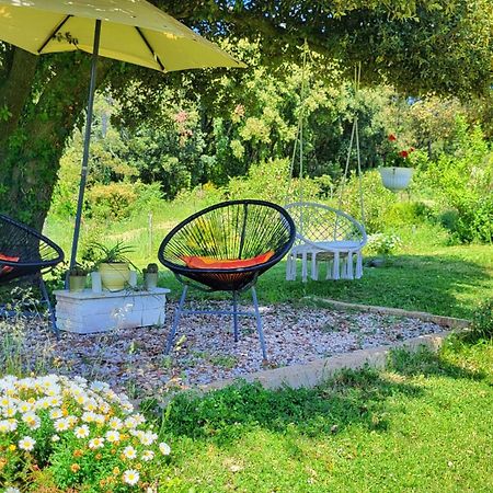 Agriturismo Podere Le Palaie Monterotondo  Екстер'єр фото