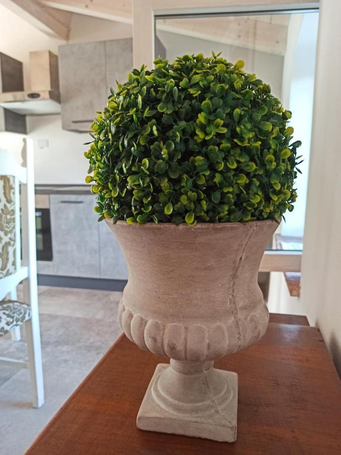 Agriturismo Podere Le Palaie Monterotondo  Екстер'єр фото