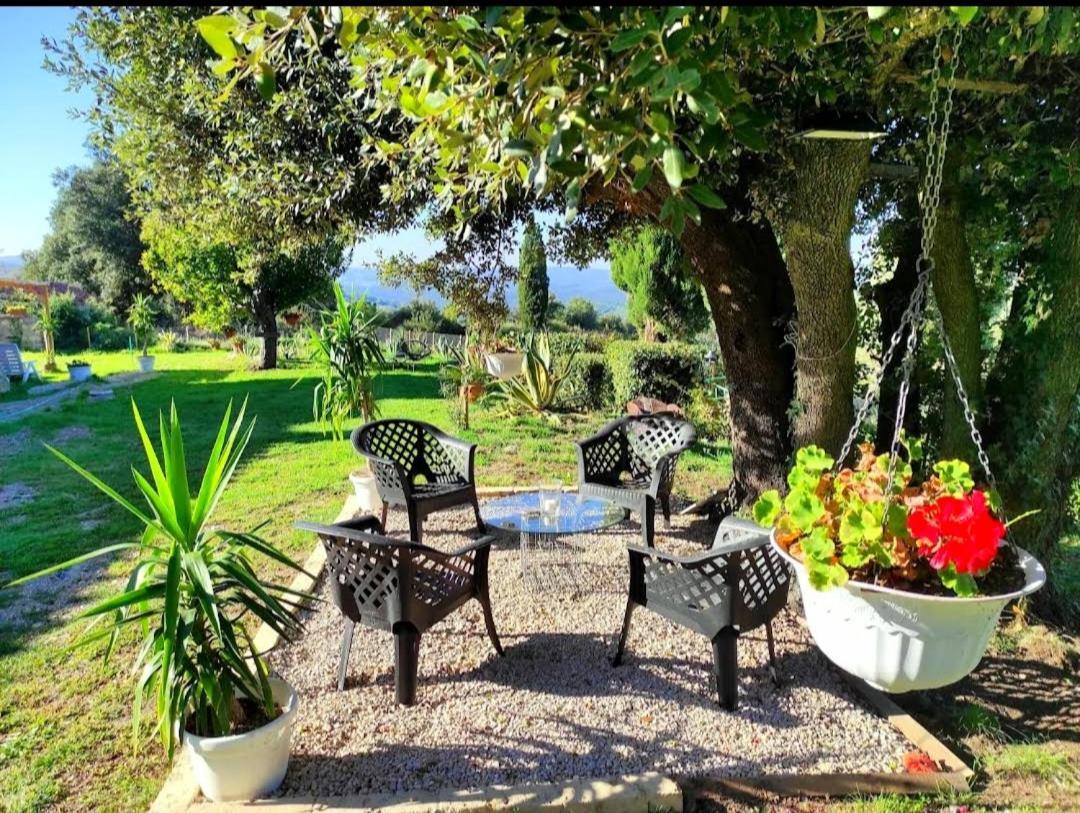 Agriturismo Podere Le Palaie Monterotondo  Екстер'єр фото