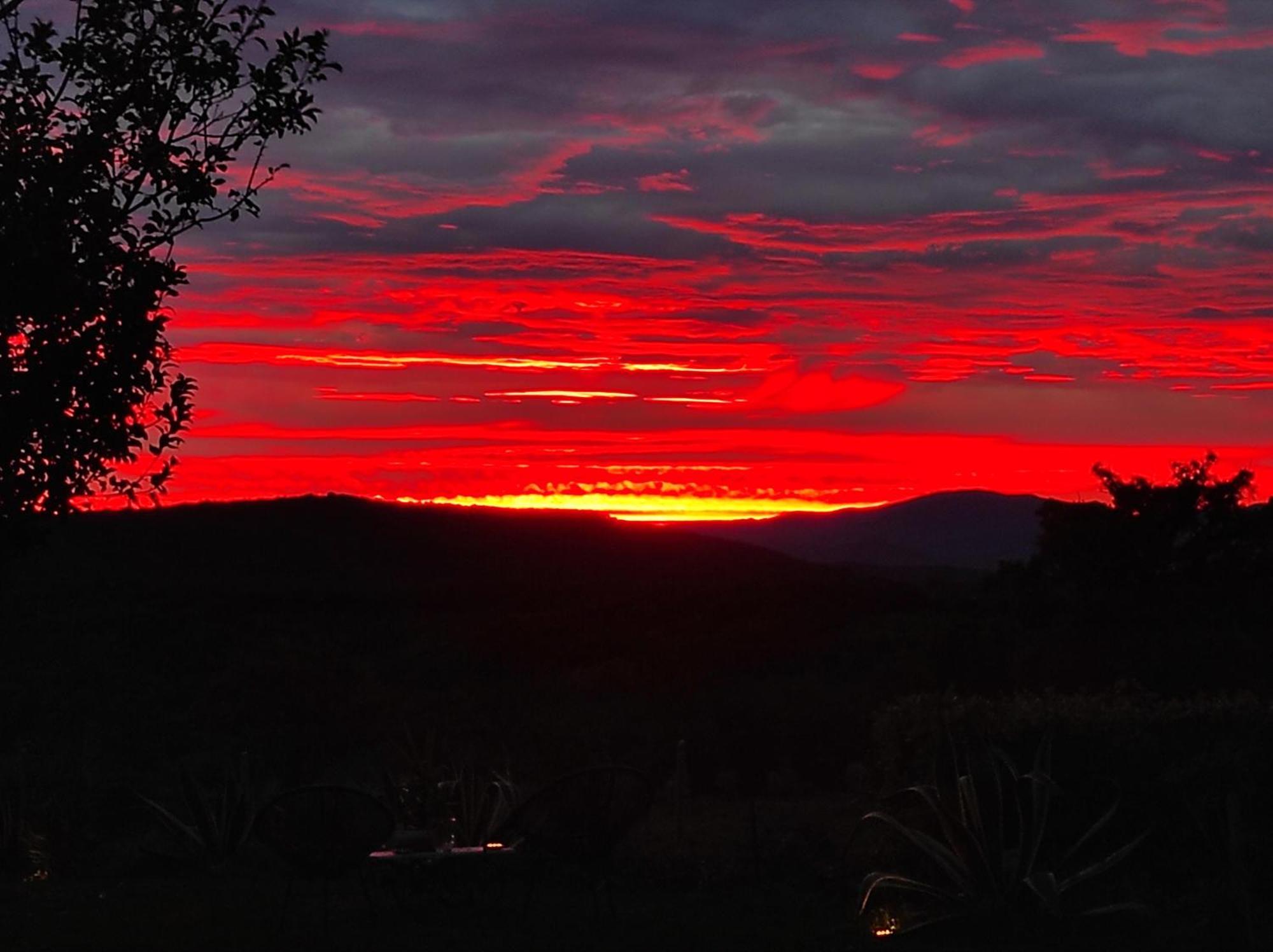 Agriturismo Podere Le Palaie Monterotondo  Номер фото