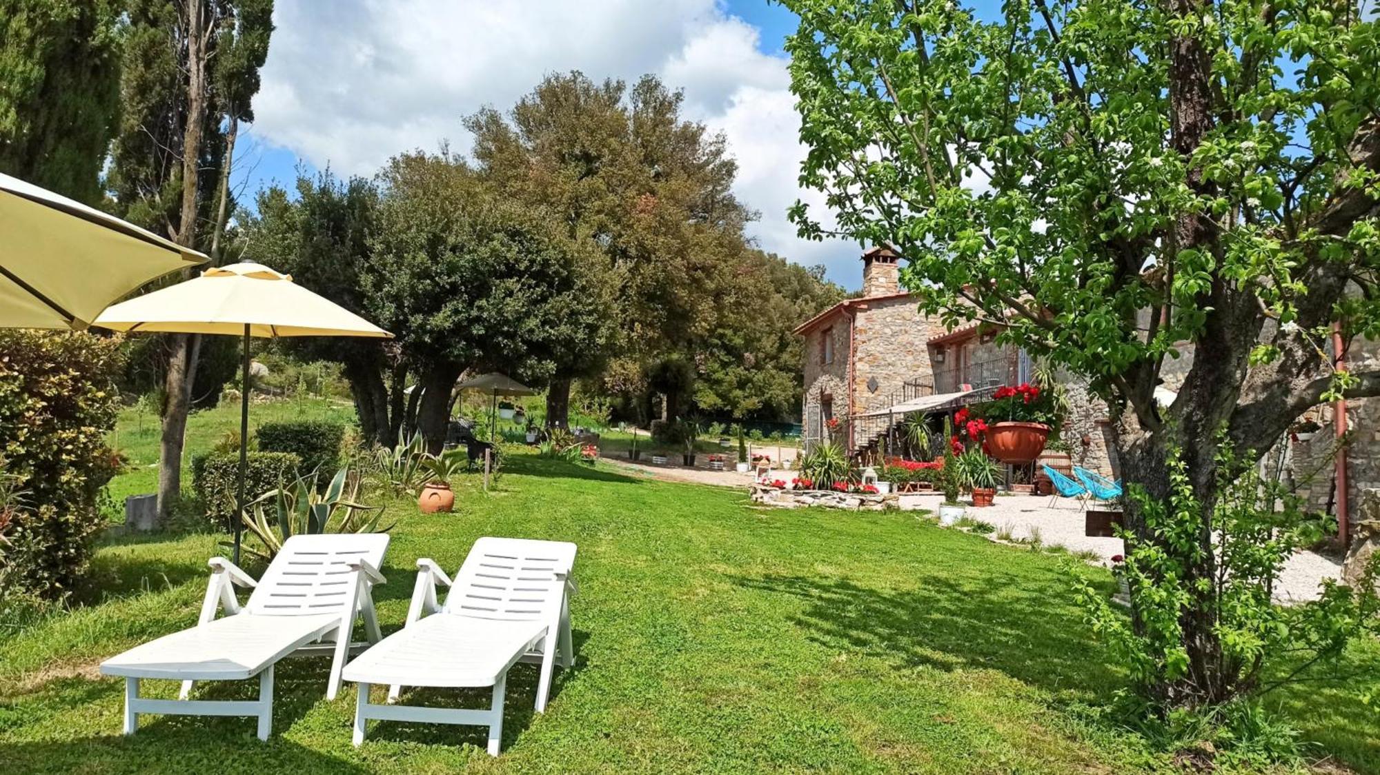 Agriturismo Podere Le Palaie Monterotondo  Номер фото